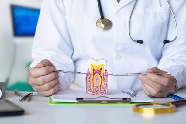 Best Emergency Care for Gum Disease in Lewisburg, WV